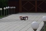 Семен Фролов: Утро Кости Иванова