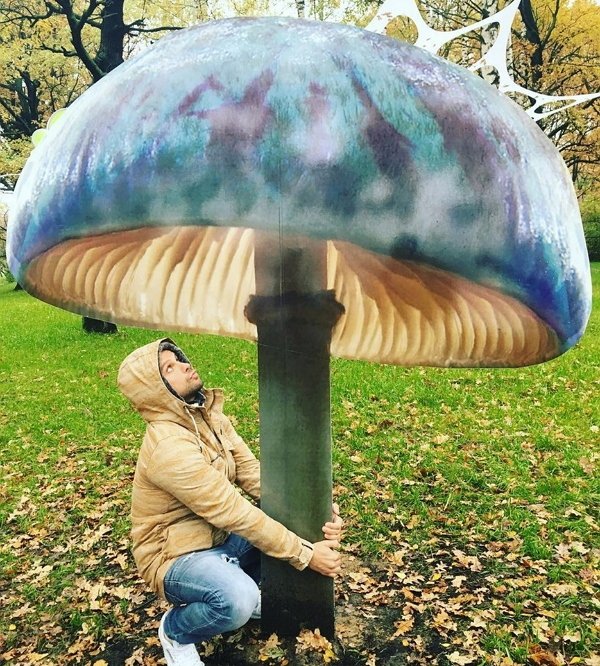 Семён Фролов сравнил любовь с грибами и поганками