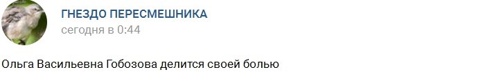 Ольга Васильевна Гобозова страдает от разлуки с внуком