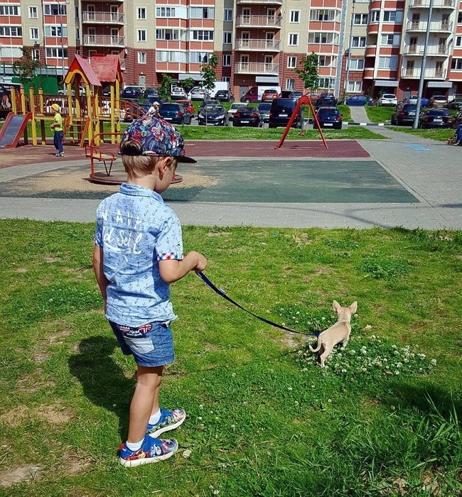 Фотоподборка детей участников (16.09.2017)