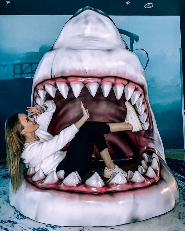 Милена Безбородова: А вы видели живую акулу?