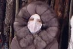 Алена Савкина планирует дальнейшее преображение своей внешности