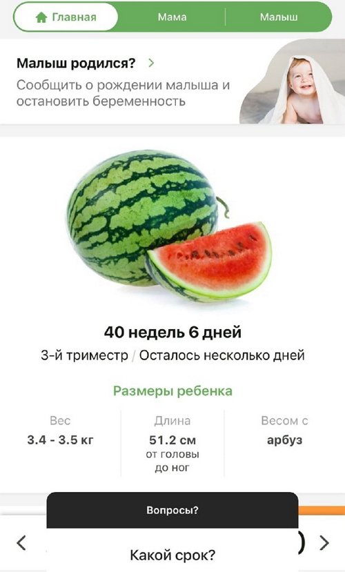 Анна Левченко: Хочется родить самой