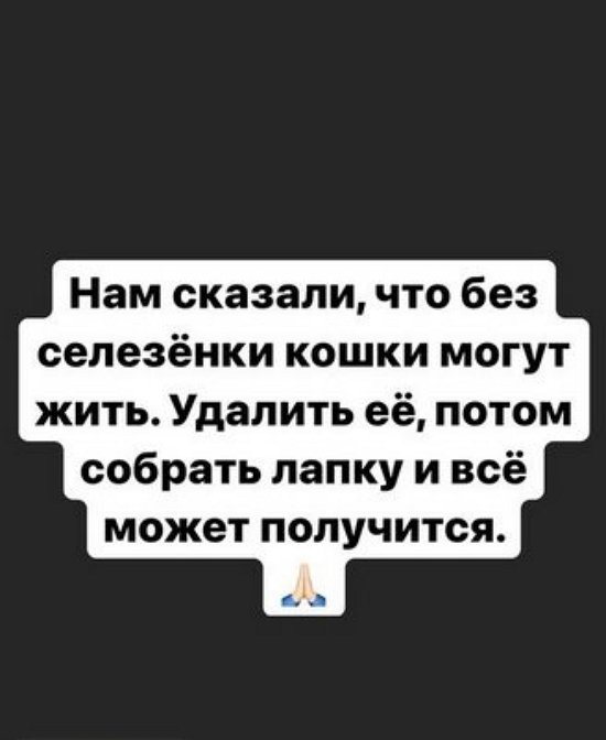 Александра Черно: Будем стараться его спасти