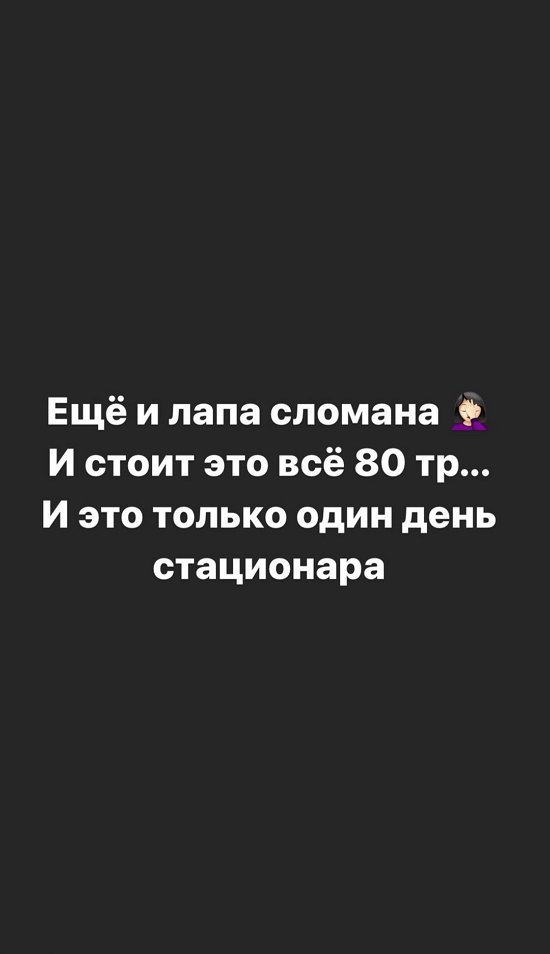 Александра Черно: Будем стараться его спасти