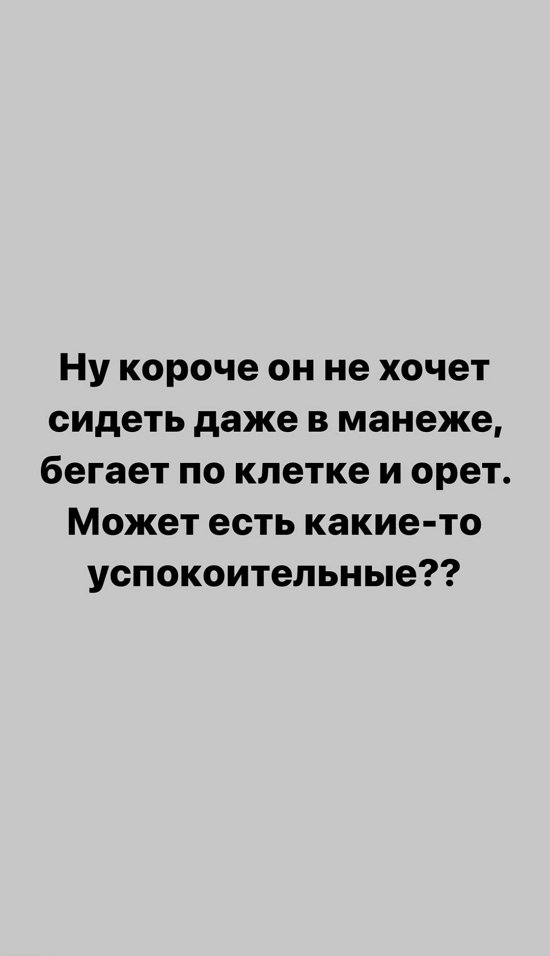 Александра Черно: Не будет он сидеть в клетке!