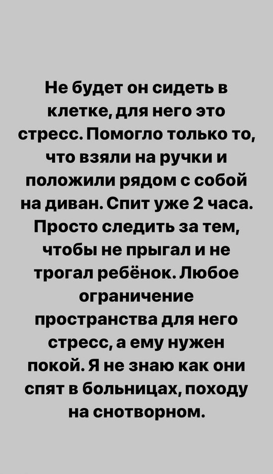 Александра Черно: Не будет он сидеть в клетке!