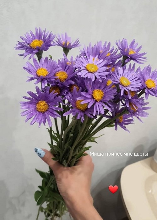 Ольга Ветер: Читаю про виды операций