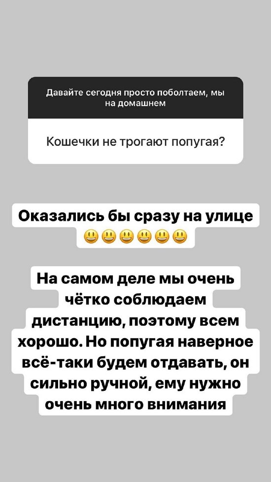 Александра Черно: Попугая наверно придется отдать