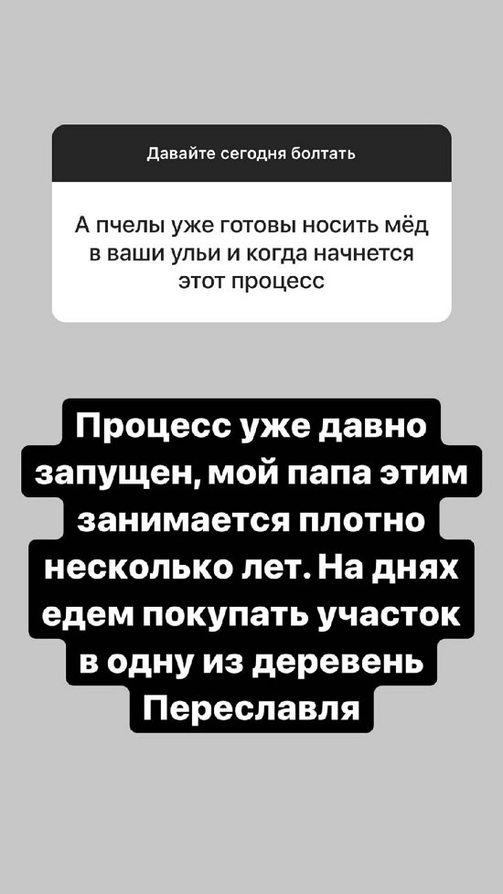 Александра Черно: Там тесно и они хотят в Москву