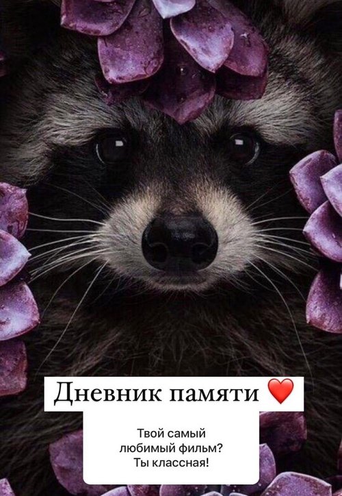 Анна Мадан: Пошли вон с моей страницы!