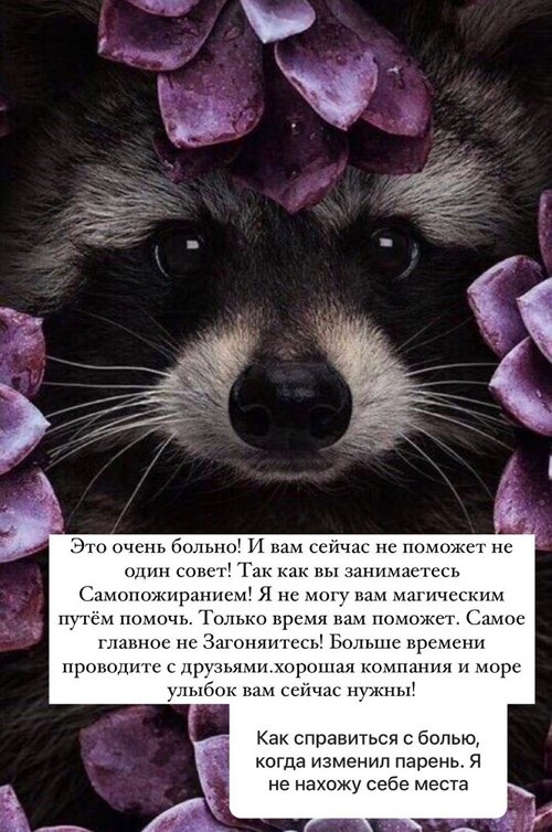 Анна Мадан: Пошли вон с моей страницы!