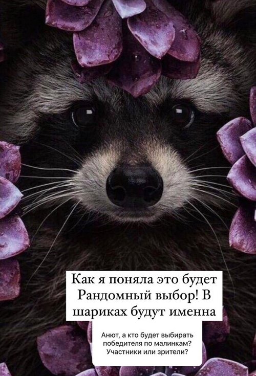 Анна Мадан: Пошли вон с моей страницы!