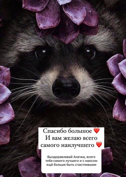Анна Мадан: Пошли вон с моей страницы!