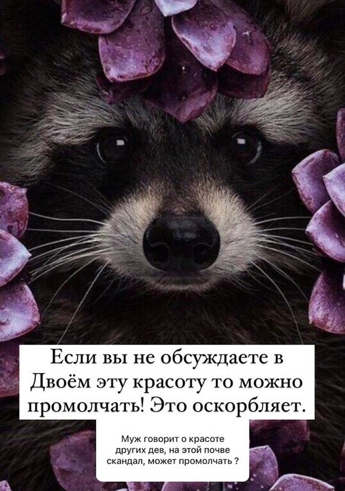 Анна Мадан: Пошли вон с моей страницы!