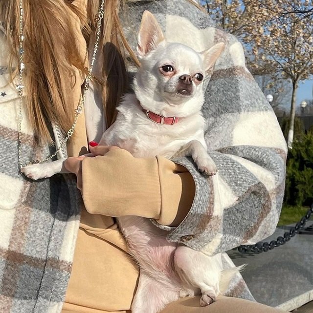 Элла Суханова: Хочу побыть совсем одна Элла Суханова: Хочу побыть совсем одна