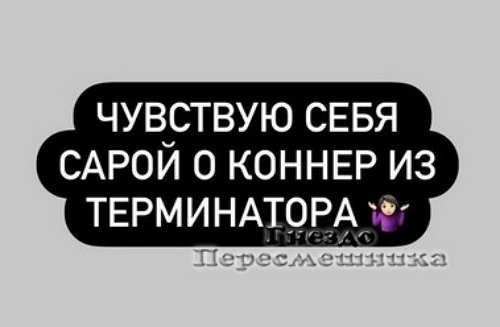 Селена Майер: Пишу я лучше, чем говорю