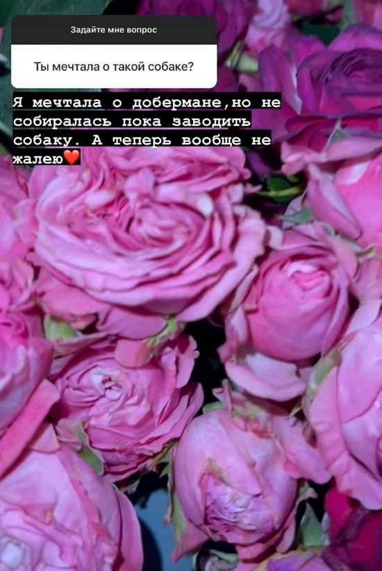 Алёна Опенченко: Я не хочу терять возможностей