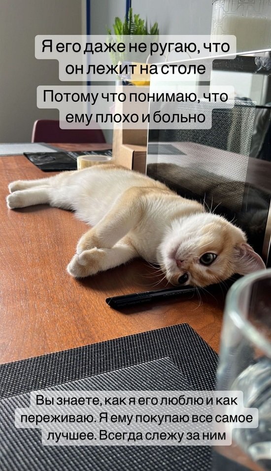 Милена Безбородова: Боюсь, что из-за стресса станет хуже