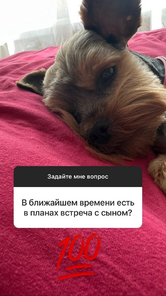 Никита Уманский: Никакой драки не было!