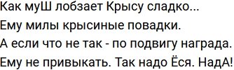 Стихи о Дом-2 на 15.08.2022