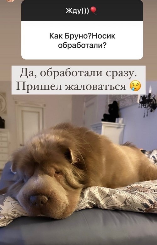 Ольга Орлова: Я набрала 15 кг, ноги отекают очень сильно