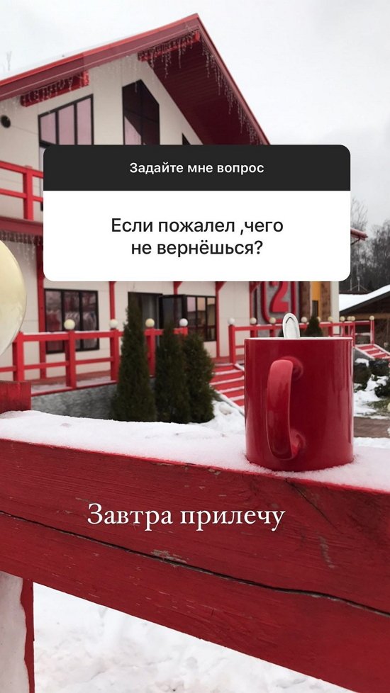 Тимур Нестерович: Завтра прилечу...