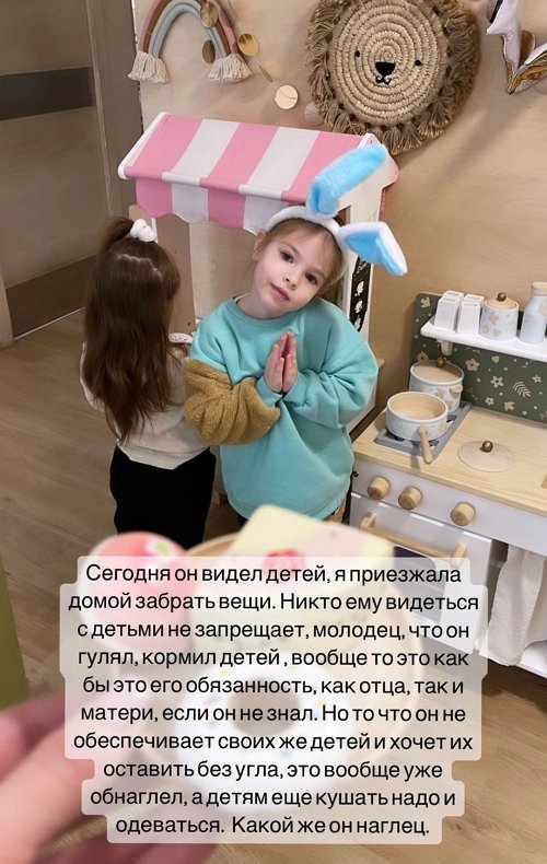 Ольга Дмитренко: Дима хочет оставить детей без угла