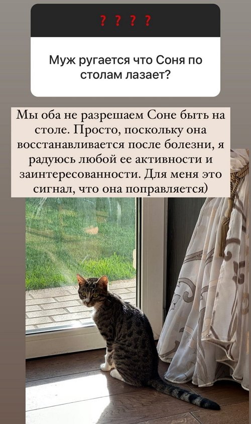 Ольга Орлова: Почему Вы считаете, что только Вы живёте правильно?