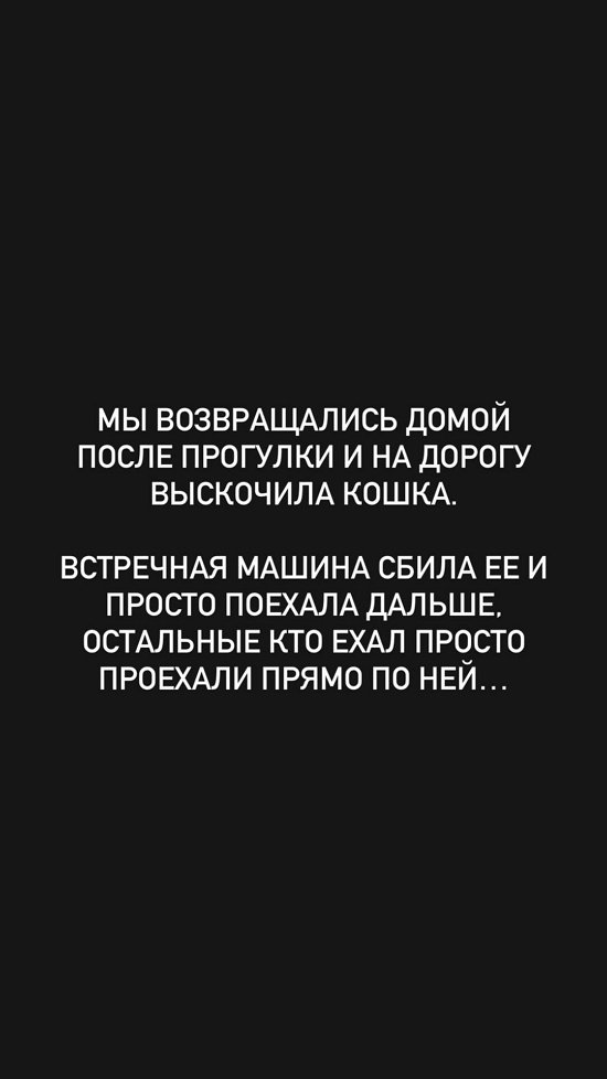 Евгений Ромашов: Даже не остановились, бездушные ссыкуны!