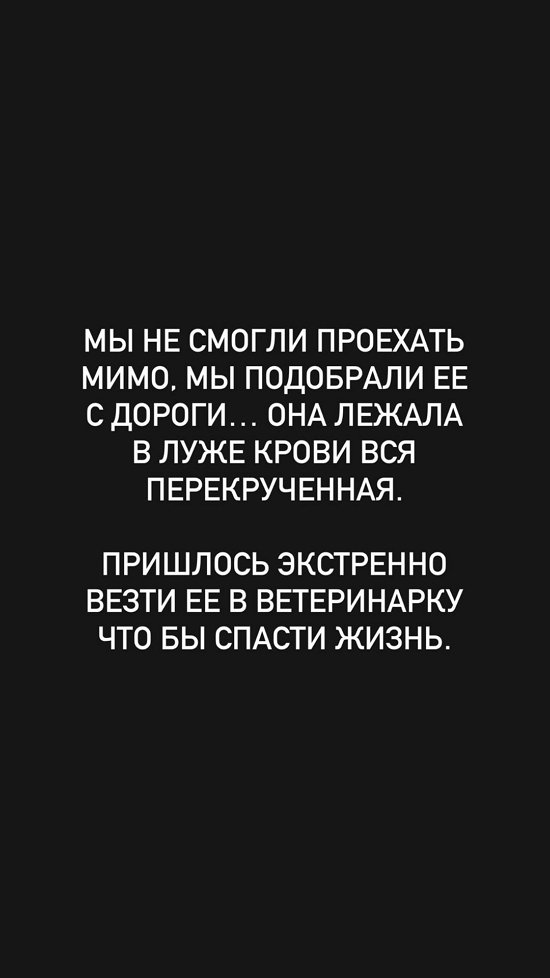 Евгений Ромашов: Даже не остановились, бездушные ссыкуны!