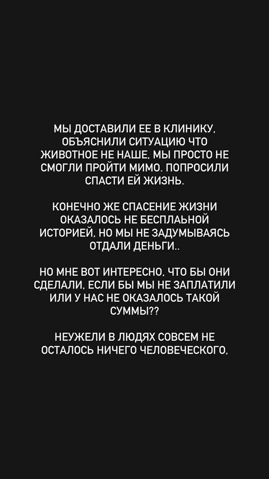 Евгений Ромашов: Даже не остановились, бездушные ссыкуны!