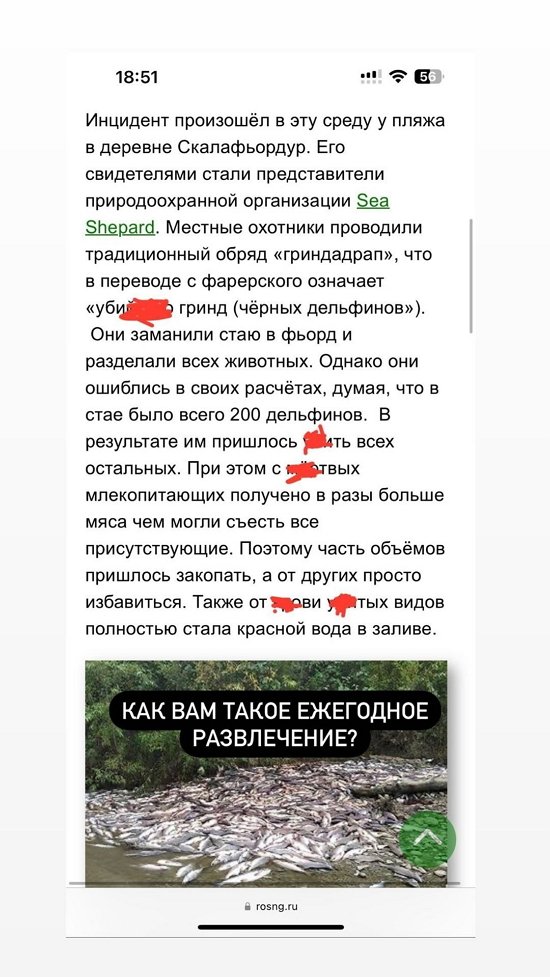 Евгений Ромашов: Я не знал, что многих нельзя выпускать...