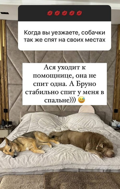 Ольга Орлова: Бруно спит у меня в спальне