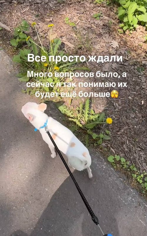 Татьяна Репина передумала выходить замуж?