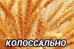 Мнение о событиях на Доме-2 (5.05.2025)