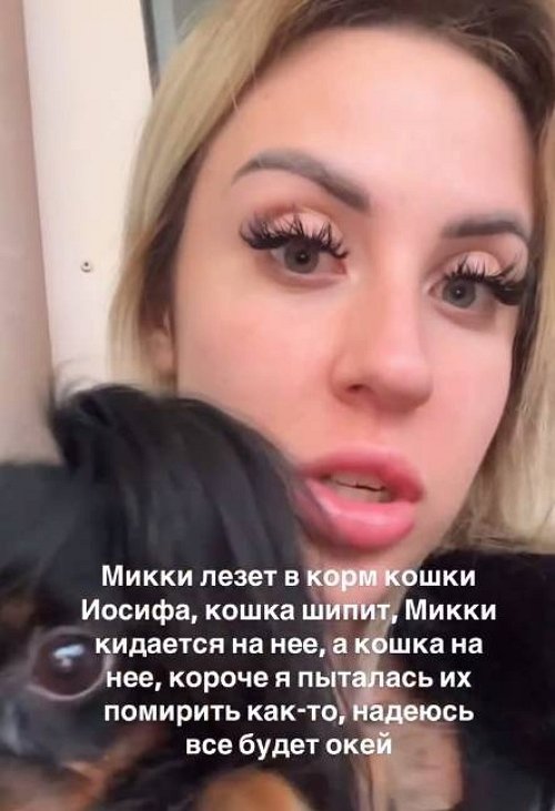 У Кенели Сайкс возникли проблемы с домочадцами Оганесяна У Кенели Сайкс возникли проблемы с домочадцами Оганесяна