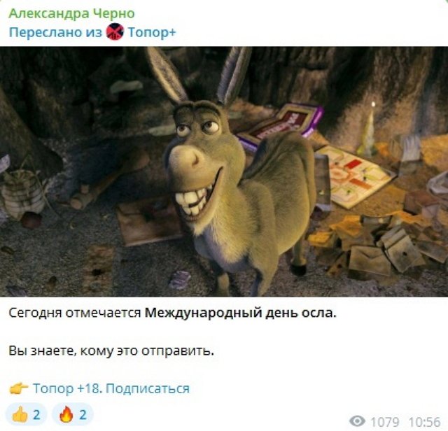 Александра Черно поздравила экс-супруга с «Днём осла» Александра Черно поздравила экс-супруга с «Днём осла»