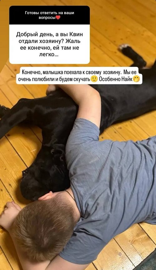 Александр Гобозов: Надеюсь на всеобщее благоразумие