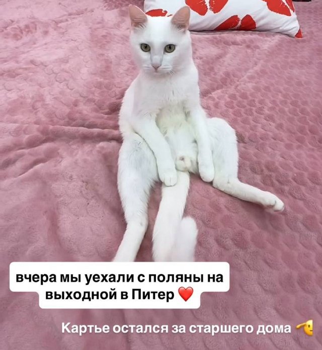 Никита Максимов и Елизавета Субботина купили машину Никита Максимов и Елизавета Субботина купили машину
