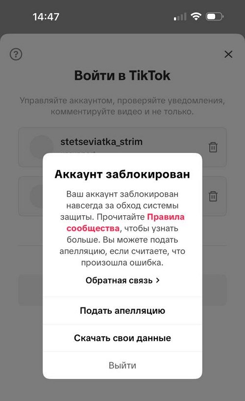 Анастасия Стецевят: Меня кто-то заказал?