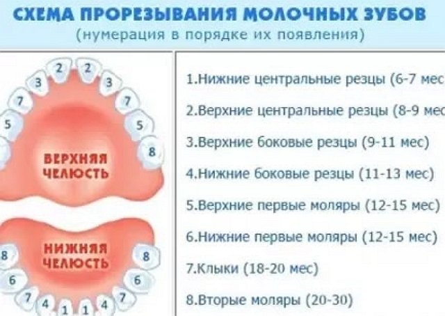 Виктория Салибекова обеспокоена здоровьем Леона Виктория Салибекова обеспокоена здоровьем Леона