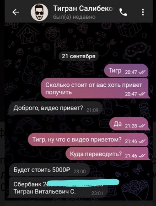 Тигран Салибеков нашёл подработку