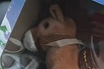 Евгения Дорожкина: Подарок для Серёжи
