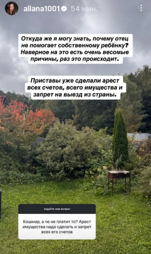 Алиана Устиненко: Приставы уже арестовали все его счета