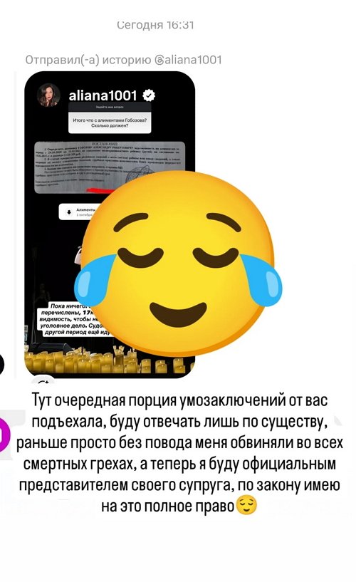 Светлана Гобозова: Мы готовы к адекватному диалогу