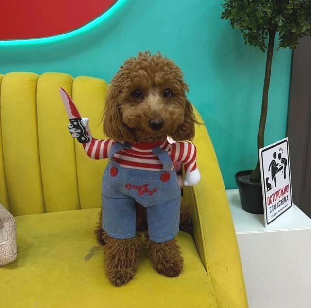 Игорь Григорьев унизил свою невесту Екатерину Квашникову Игорь Григорьев унизил свою невесту Екатерину Квашникову