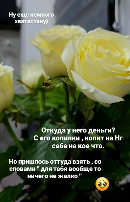 Ольга Ветер: Разрешите хвастануть сыном