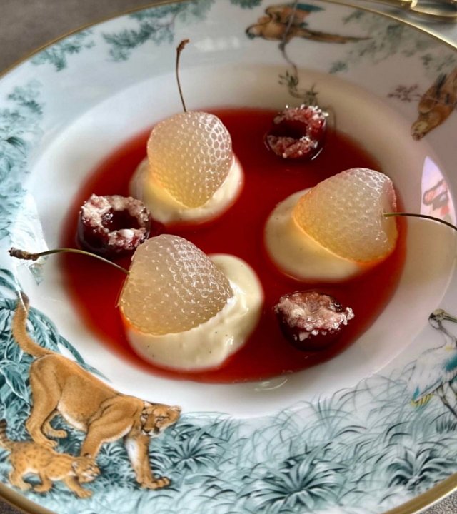 Инесса Шевчук: В голове моей зреет идея