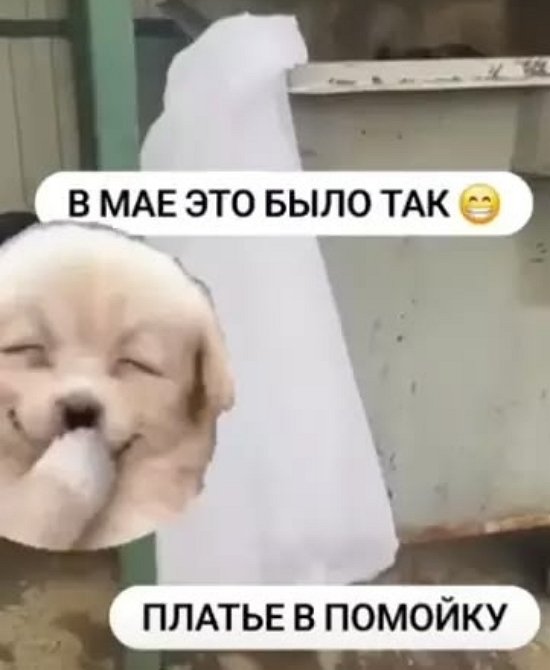 Возлюбленный позвал замуж Наталью Кордюкову